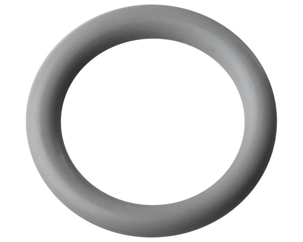 O-Ring-Dichtung 21 mm fr Sundance-Ventil - Zum Vergr&ouml;&szlig;ern klicken