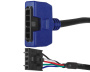 Adapterkabel Balboa String Lights / 5-polig - Zum Vergr&ouml;&szlig;ern klicken