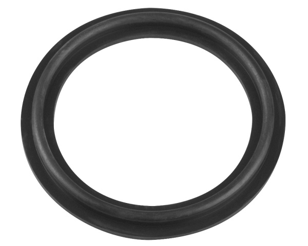 mm O-Ring fr SpaNet SV Heizelement - Zum Vergr&ouml;&szlig;ern klicken