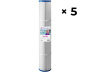 5er-Karton Claralys CCST120 / Coast Spas Filtern - Zum Vergr&ouml;&szlig;ern klicken